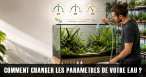Comment changer les paramètres d'eau de votre aquarium ?