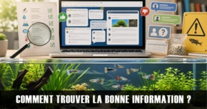 Comment trouver la bonne information et éviter les pièges ?