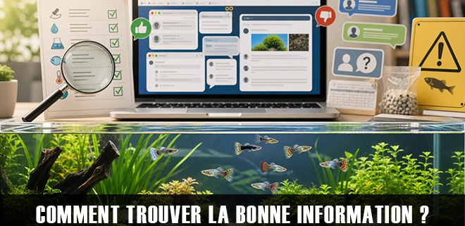Comment trouver la bonne information et éviter les pièges ?