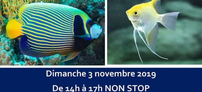 Bourse Aquariophile - Évian-les-Bains (74) - 03 Novembre 2019