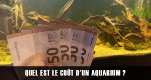 Quel est le coût d'un aquarium ?