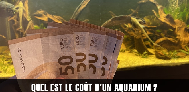 Quel est le coût d'un aquarium ?