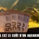 Quel est le coût d'un aquarium ?