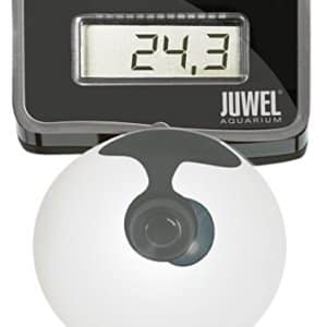 Thermomètre - Juwel Digital 2.0