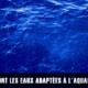 Quelles sont les eaux adaptées à l'aquariophilie ?