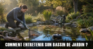 Comment entretenir son bassin de jardin ?
