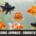 Cohabitation des poissons rouges japonais : espèces compatibles, limites et bonnes pratiques